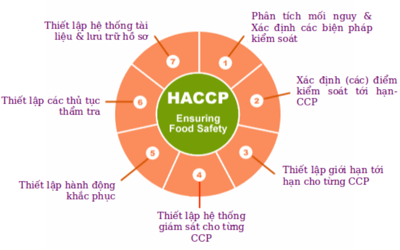 Tiêu chuẩn HACCP dành cho găng tay thực phẩm là gì ?